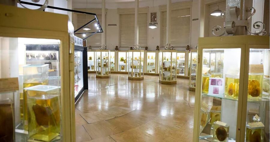 Visita exclusiva (y no apta para sensibles) al Museo Forense, un lugar donde la muerte no es ficción