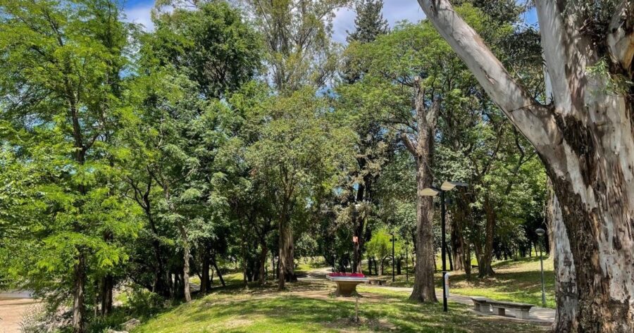 De Carlos Paz a la Alhambra: los Bosques de la Poesía argentinos se expanden por el mundo