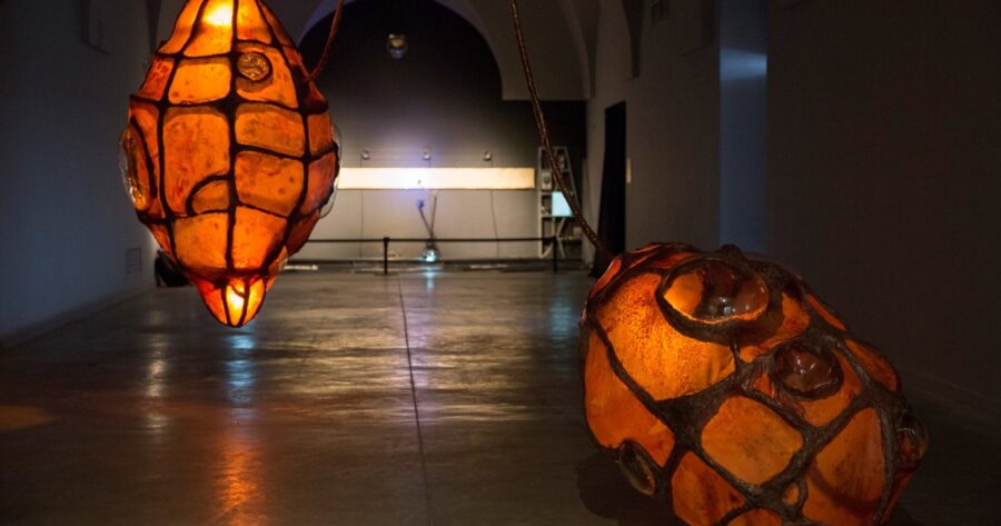 ‘Memorias en gestación’: arte, ciencia y tecnología en el Centro Cultural Recoleta