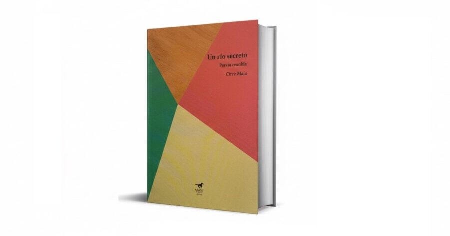 Circe Maia vuelve a las librerías argentinas: el valor de una poeta que ilumina lo cotidiano