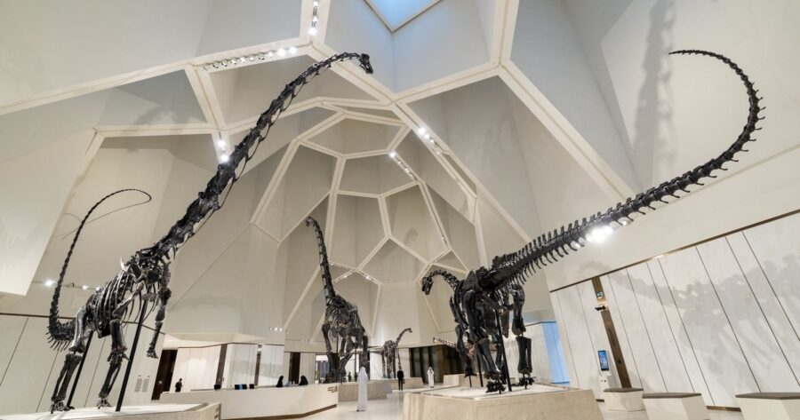 De los fósiles de Dorset a los dinosaurios de China: cómo la prehistoria se convirtió en un negocio